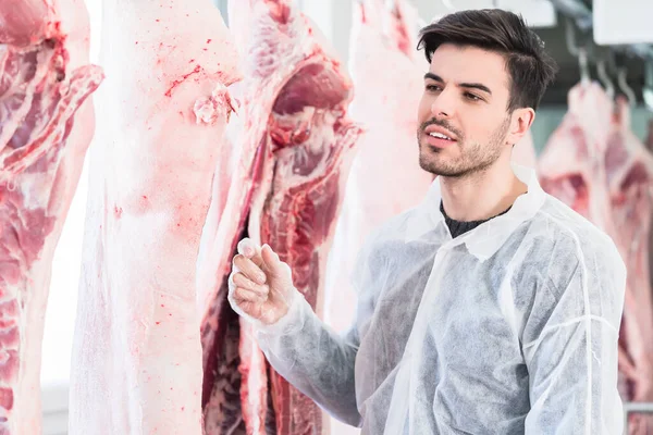 Veterinary Meat Inspection Slaughterhouse — Stock Photo, Image