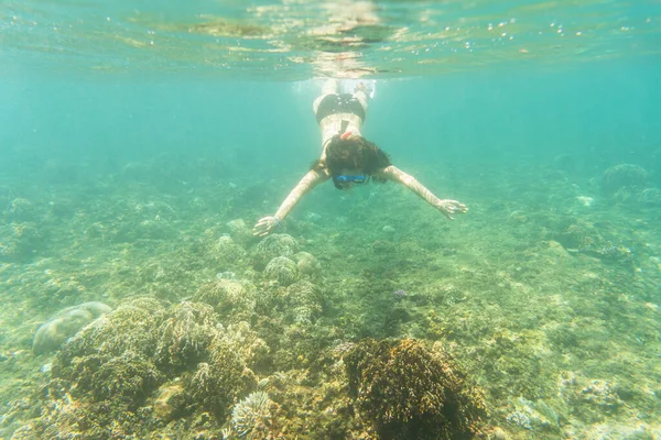 Femme Plongée Avec Tuba Dessus Sol Mer Tropicale — Photo