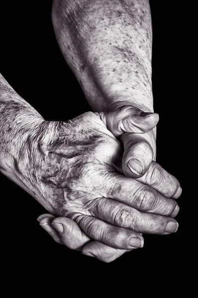 Senior Person Hands Close Stock Photo