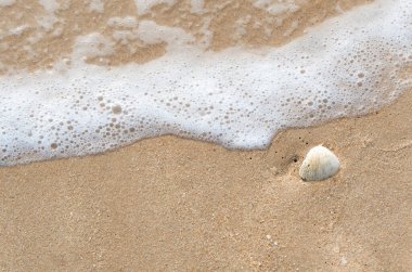 Kum üzerinde dalga deniz balonu