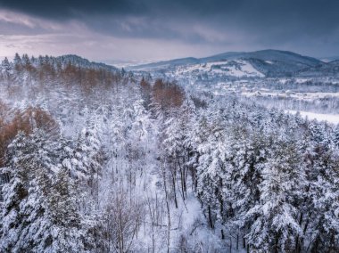 Przadki Kayası Rezervinin görünümü