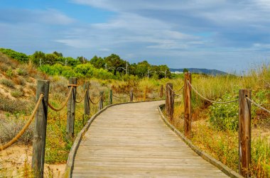 wooden boardwalk in the dunes leading to the sandy beach, the path by the sea, plants on the dunes