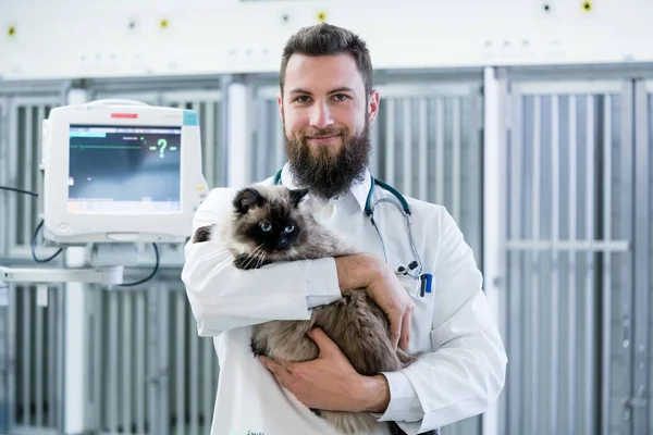 Врач Ветеринар Держит Кошку Своей Ветеринарной Клинике — стоковое фото