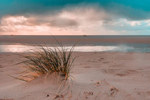 Дюны Пляже Амрум Германия Европа — стоковое фото