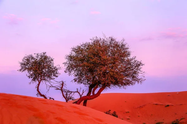 Desert Ras Khaimah United Arab Emirates Asia — Foto de Stock