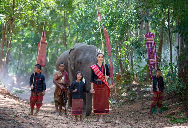象とアジアの女の子 — ストック写真