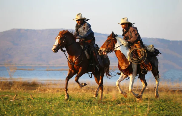 Cowboy Cavallo Contro Tramonto — Foto Stock