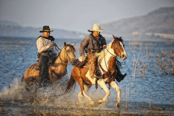 Cowboy Paardrijden Tegen Zonsondergang — Stockfoto