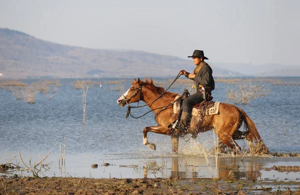 Cowboy Riding Horse Sunset — Fotografia de Stock