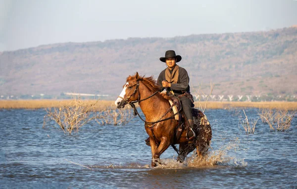 Cowboy Riding Horse Sunset — Stockfoto