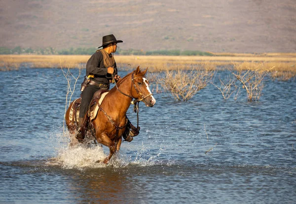 Cowboy Equitação Cavalo Contra Pôr Sol — Fotografia de Stock