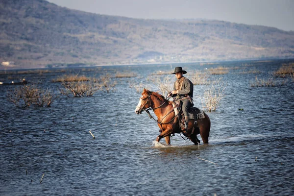 Καουμπόη Ιππασία Άλογο Κατά Δύση — Φωτογραφία Αρχείου