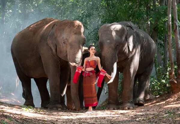 Portret Pięknej Wiejskiej Tajlandzkiej Kobiety Tajskiej Sukience Słoniem Prowincji Surin — Zdjęcie stockowe
