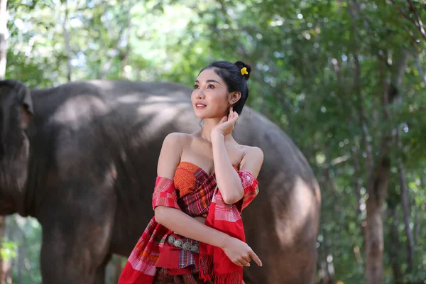 Retrato Hermosa Mujer Tailandesa Rural Usar Vestido Tailandés Con Elefante — Foto de Stock