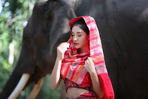 Portrait Beautiful Rural Thai Woman Wear Thai Dress Elephant Surin — Stock fotografie