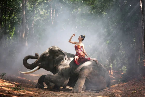 Portrait Beautiful Rural Thai Woman Wear Thai Dress Elephant Surin — Stock Photo, Image