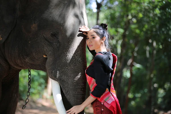 Portret Pięknej Wiejskiej Tajlandzkiej Kobiety Tajskiej Sukience Słoniem Prowincji Surin — Zdjęcie stockowe