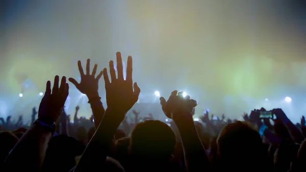 Concert Music Festival Celebrate Party People Rock Concert Crowd Happy — стоковое фото