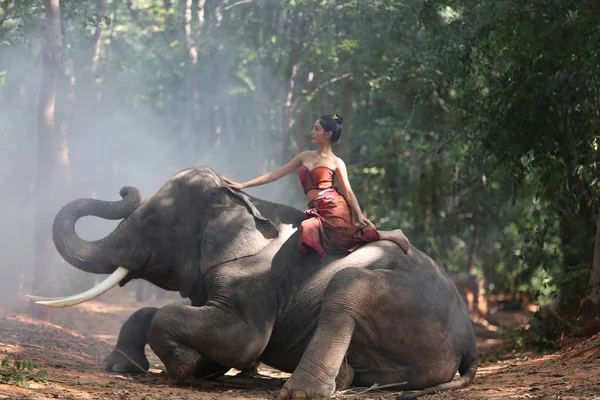 Piękna Tajska Dziewczyna Nosi Sukienki Rodzimej Kultury Spędzać Czas Słoniem — Zdjęcie stockowe