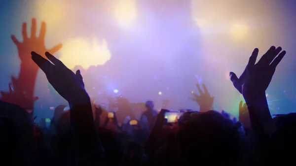 Concert Music Festival Celebrate Party People Rock Concert Crowd Happy — Stok fotoğraf