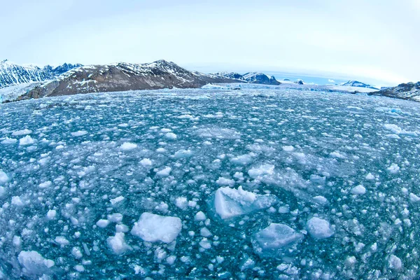 漂移的浮冰和雪峰山脉 挪威斯瓦尔巴 — 图库照片