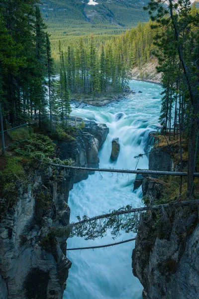 Sunwapta Falls Jasper National Park — Stock Photo, Image