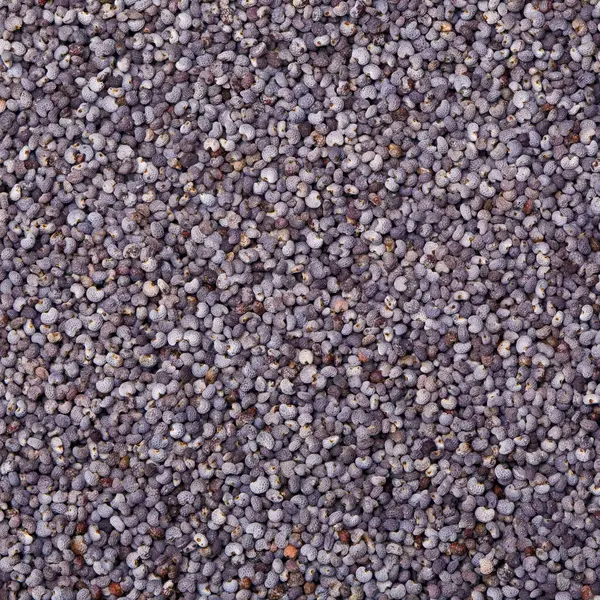 Poppy Seeds Food Background — Stock Photo, Image