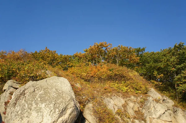 Landskap Med Fjäll Täckta Med Växter Hösten — Stockfoto
