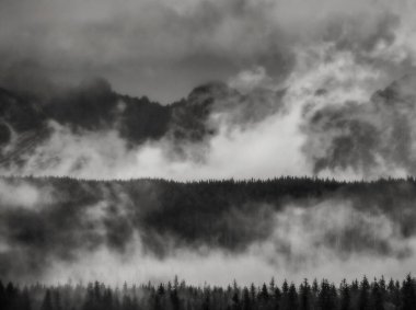 Karlı dağların manzarası