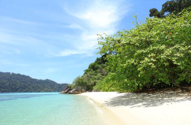 Deniz manzarası çok güzel. Seyahat, doğa geçmişi 