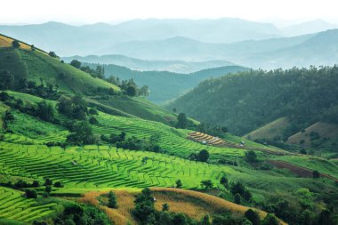 Güzel manzara manzarası. Doğa arkaplanı