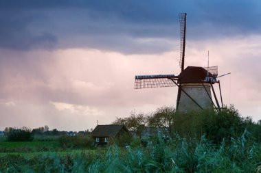 Kinderdijk 'te yel değirmenlerinin manzaralı çekimi