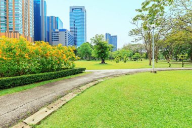 Beautiful garden in daytime