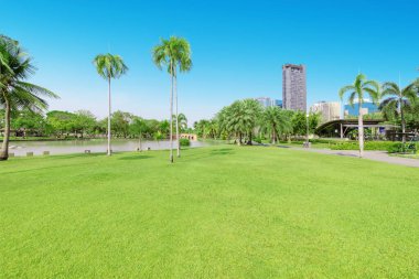 Beautiful garden in daytime