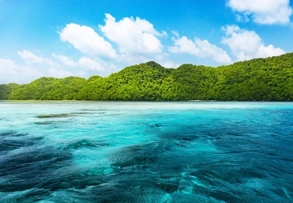 Quiet marina at daytime, nature in Palau.