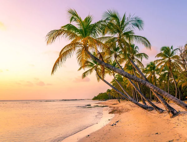 Meerblick Bei Sonnenuntergang Vincent Und Die Grenadinen Fotos — Stockfoto