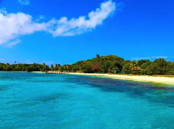 Havsutsikt Sankt Vincent Och Grenadinerna Foton — Stockfoto