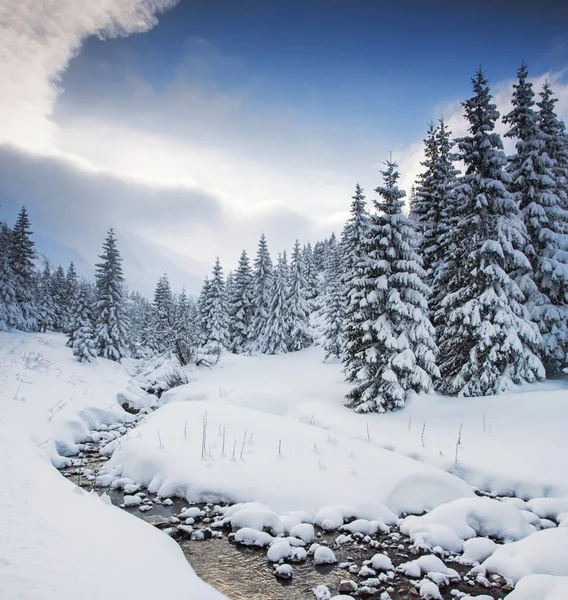 Landscape Snowy Mountains — Stock Photo, Image