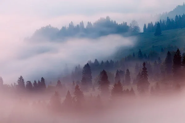 山と霧の風景 — ストック写真
