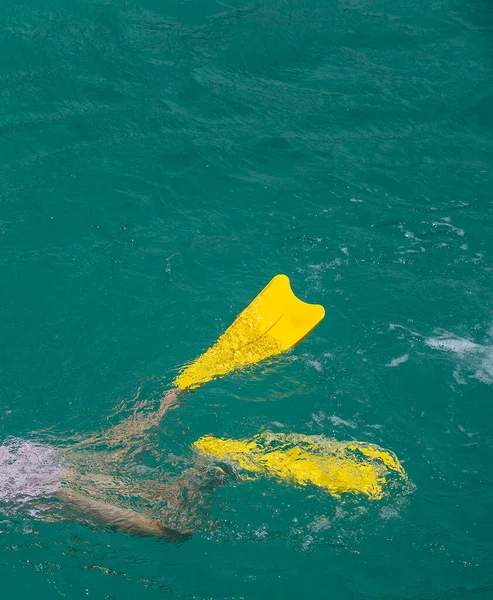 黄色のフリッパーと緑の水 — ストック写真