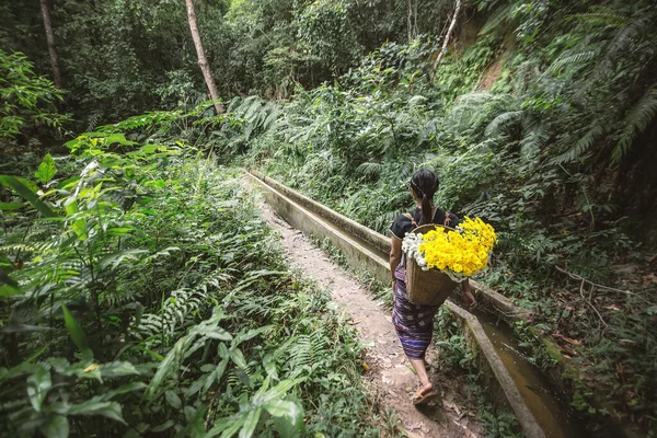 Woman Picking Flowers Mountains — Stock Photo, Image