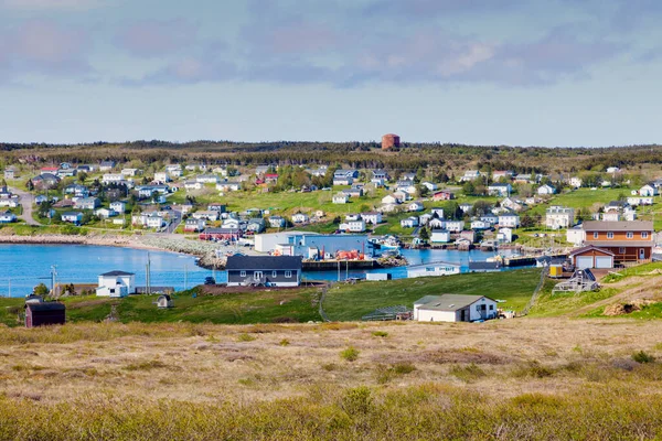 Panorama Lawrence Newfoundland — Stock Photo, Image