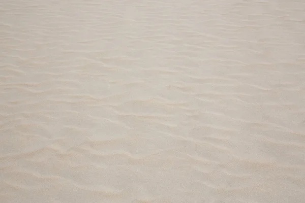 베이지 모래땅 — 스톡 사진
