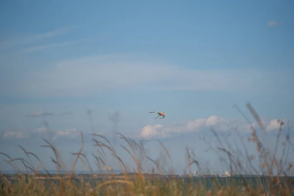 Lonely Kite Blue Sky — Stock Photo, Image