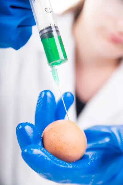 Uzavření Geneticky Modifikovaného Vajíčka — Stock fotografie
