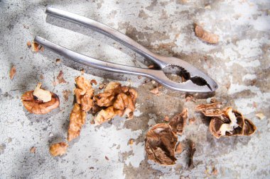 Cevizli fındıkkıran, kapat. 