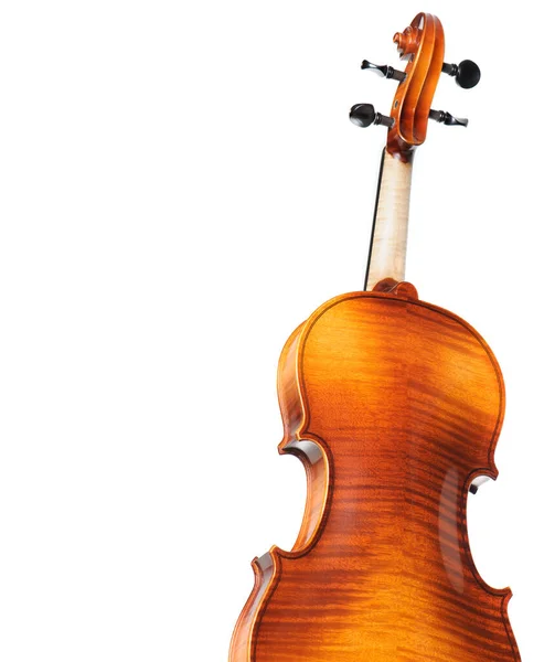 클래식 바이올린의 — 스톡 사진
