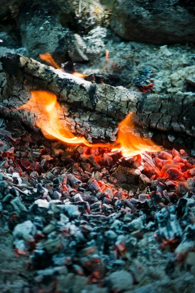 Wood Burning Phase Beautiful Bonfire — Stock Photo, Image