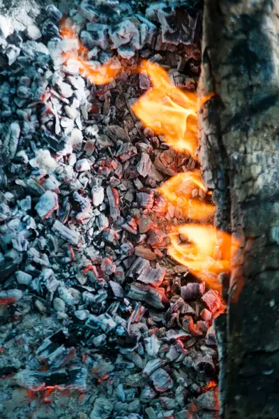 Fase Combustione Del Legno Bel Falò — Foto Stock