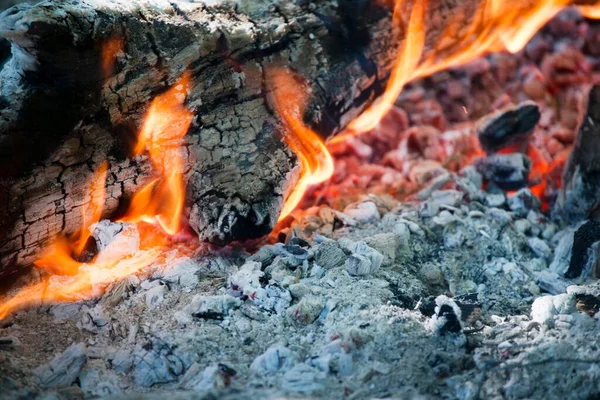 Wood Burning Phase Beautiful Bonfire — Stock Photo, Image